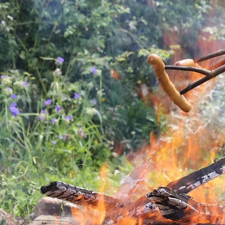 Daire Ferienidyll Aumuehle 